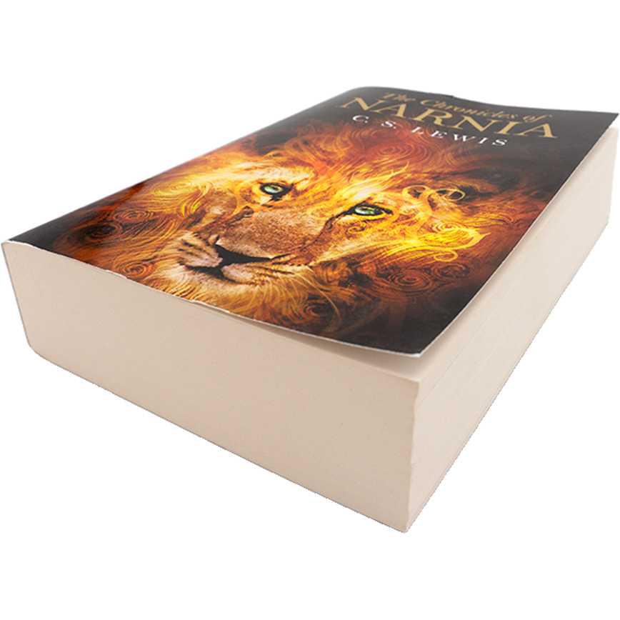 The Chronicles of Narnia Book - Image 4